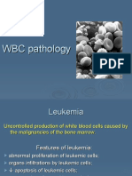 Lecture Leukemia