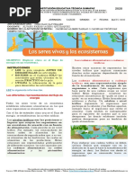 Cadenas Tróficas Grado 4