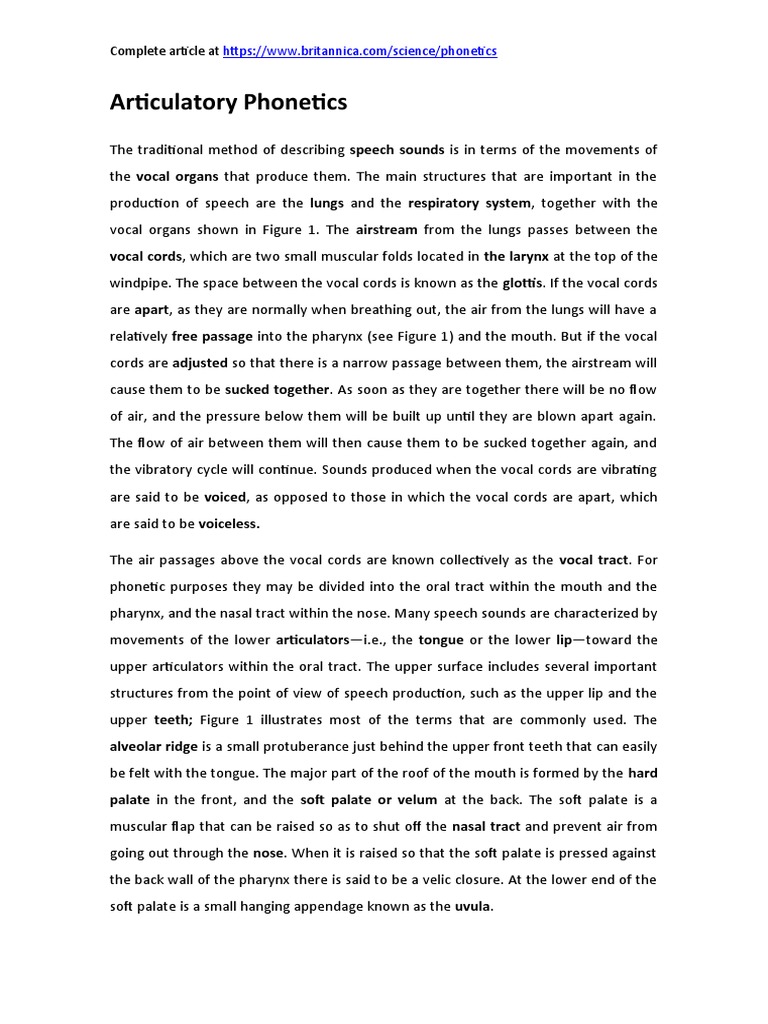 Articulatory Phonetics and Speech Organs | PDF | Phonetics | Speech