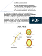 Ascaris Lumbricoides