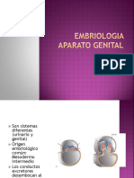 Embriologia Aparato Genital - Upao