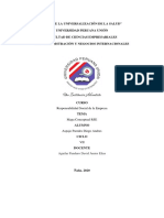 Mapa Conceptual RSE PDF