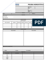 Protocolo Prueba Hidrostatica