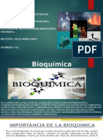 Bioquimica