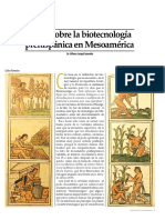 Notas Sobre La Biotecnología Prehispánica en Mesoamérica: Dr. Alfonso Larqué Saavedra