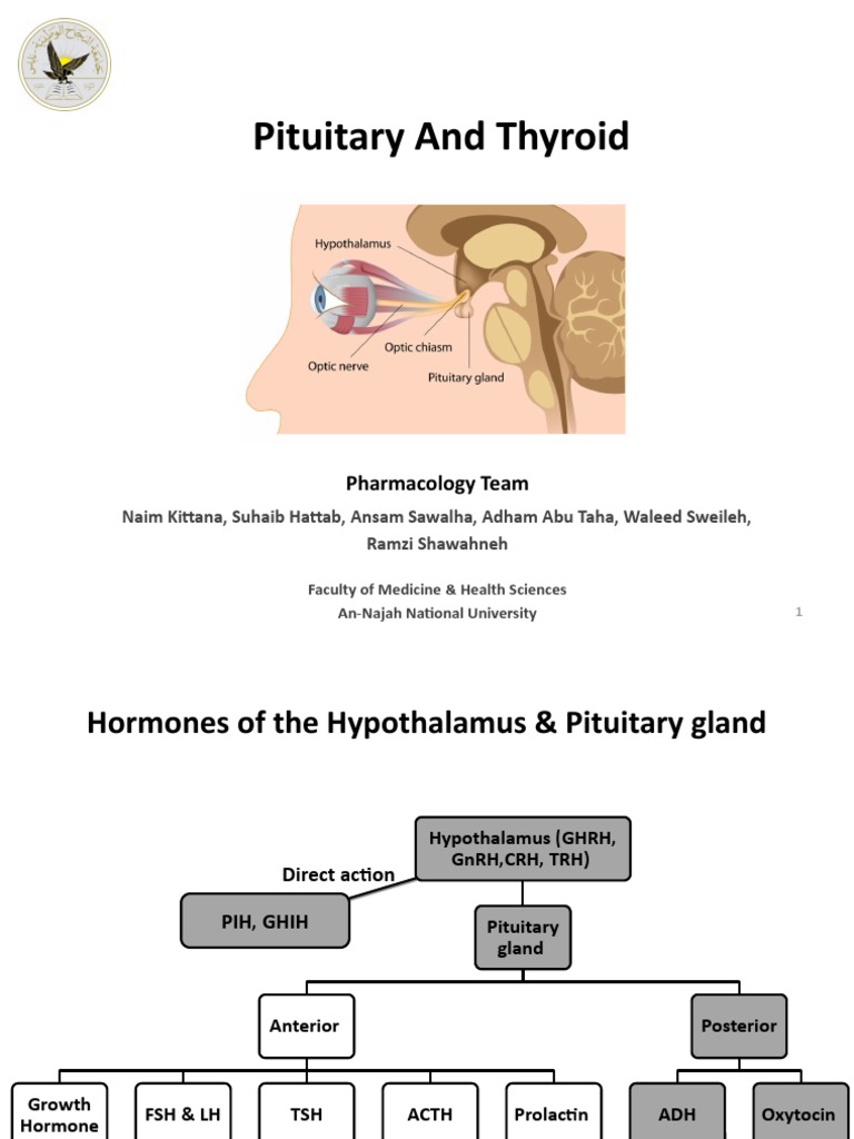 1 Pituitary and Thyroid Pharmacology | PDF | Luteinizing Hormone ...