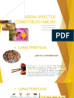 Cadena Insectos Comestibles