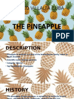 Genaro Villalta Cuba: The Pineapple