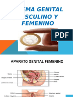 Genital Completo Nuevo