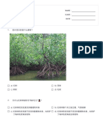 《那片树林不能倒下》理解 - Print - Quizizz PDF