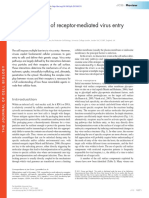 Entry of Viruses PDF