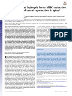 Multifunctionalized Hydrogels Foster HNSC Maturati