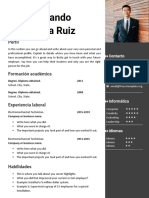 Fernando Garcia Ruiz CV Profile