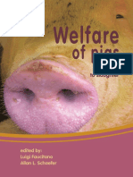 Welfare Of Pigs From Birth to Slaughter.pdf