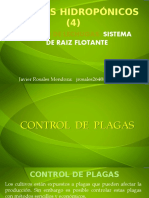 CUARTA PARTE CONTROL DE PLAGAS Cultivos hidropónicos.pptx