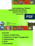 REDD Plus Offers Opportunities and Risks for Indigenous Peoples