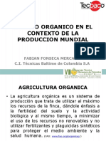 Banano Orgánico en El Contexto de La Producción Mundial Fabian Fonseca PDF