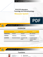 PHA 618 Laboratory Human Physiology and Pathophysiology: Muscular System