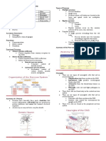 The Nervous System
