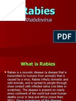 PROTOZOANS