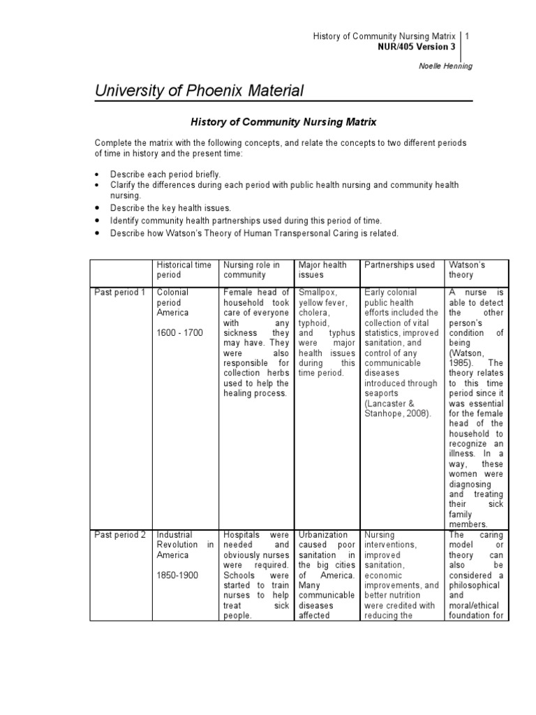 Noelle Henning - History of Community Nursing Matrix | Nursing | Theory
