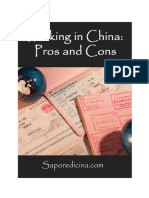 WorkingInChina PDF