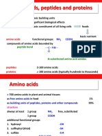 04 Amino Acids