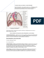 Prova Quadril, Joelho