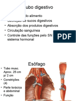 Funções do tubo digestivo