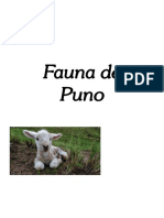 fauna puno 2020