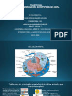 TALLER 1. Unidad PRINCIPIOS Y GENERALIDADES DE MORFOFISIOLOGÍA ANIMAL