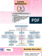 Sistem Reproduksi