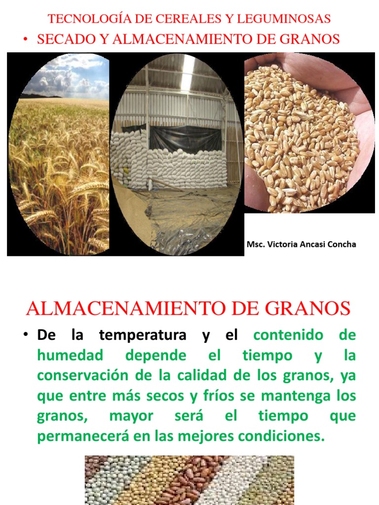 EL SECADO Y ALMACENAMIENTO DEL GRANO DE TRIGO