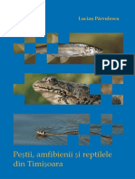 P A R Timisoara PDF