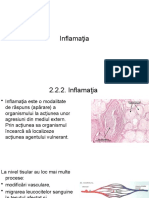 Inflamaţia 