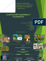 Clasificación Taxonomica y Filogenetica