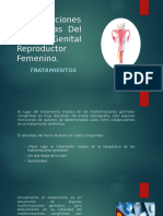 Malformaciones congénitas genitales femeninas