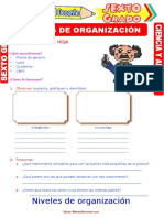 Niveles de Organización para Sexto Grado de Primaria