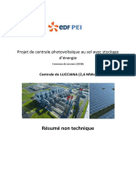 pc11 RNT Lucciana 2020 PDF