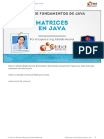 CFJ-A-Leccion-MatricesEnJava