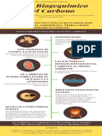 Infografia Biogeoquimica Del Carbono