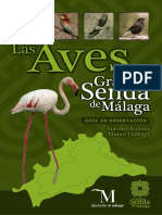 Guia de Aves en Málaga PDF