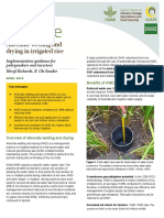 Alternate Wetting and Drying in Irrigated Rice