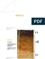 Practica Mecanica de Suelos