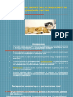 Urological Infection PDF