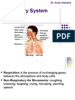 Human Respiratory System Explained