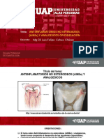 TEORIA AINEs Y ANALGES