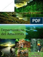 Trabajo Yina Departamento Amazonas PDF