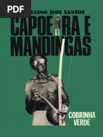 Cobrinha Verde