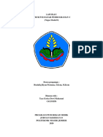 Laporan Struktur Dasar Pemrograman C (Tugas Modul 8)